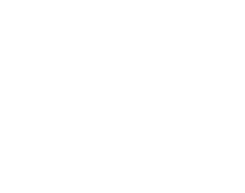 Organization 0
